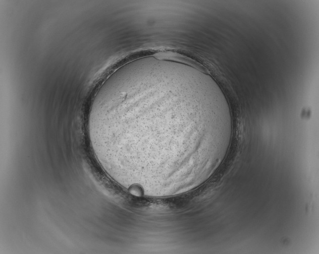 X0000114690256200911121524