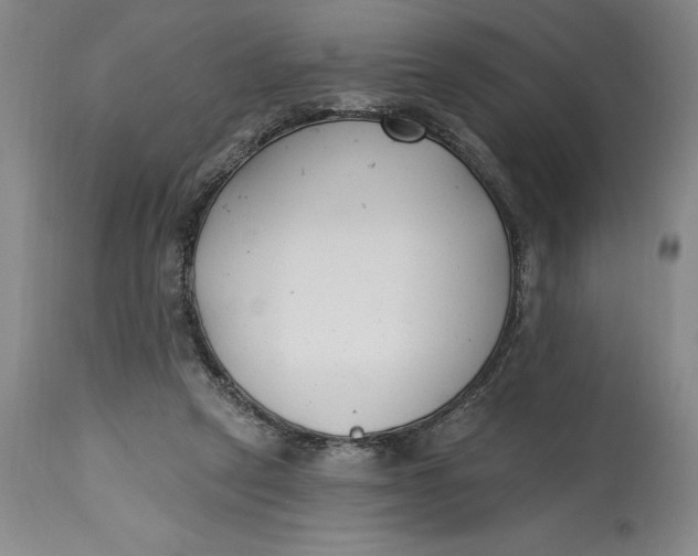 X0000114690257200911121524