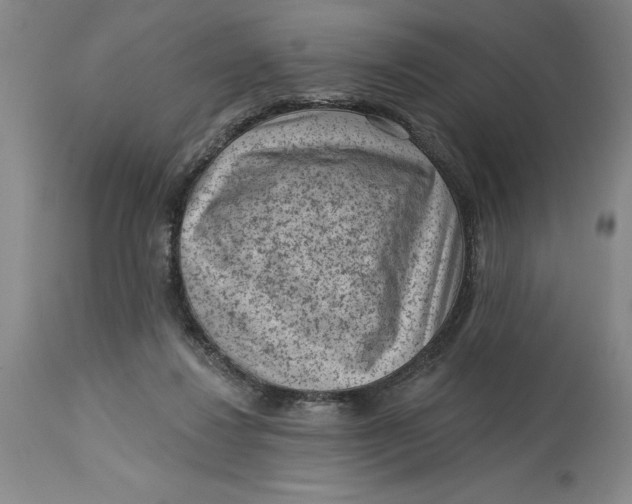 X0000114690260200911121524