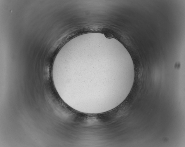 X0000114690262200911121524