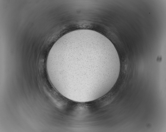 X0000114690263200911121524