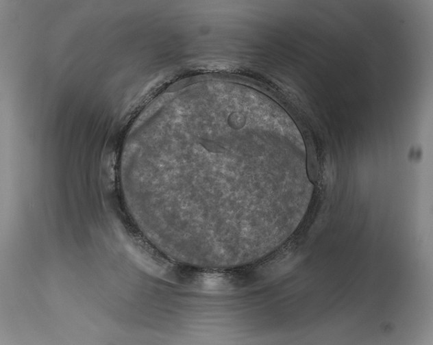 X0000114690264200911121524