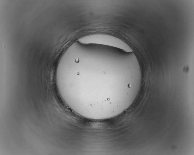 X0000114690268200911121525