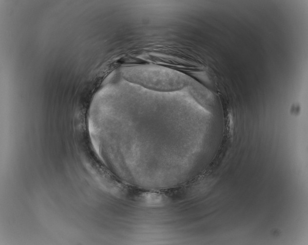 X0000114690272200911121525