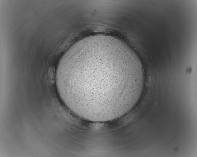 X0000114690273200911121525