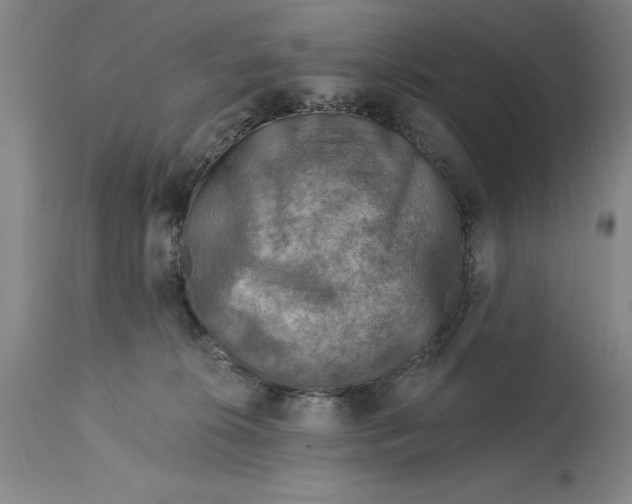 X0000114690276200911121525