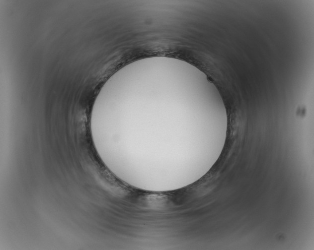 X0000114690279200911121525