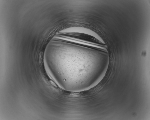 X0000114690280200911121525