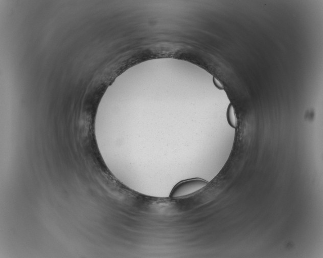 X0000114690283200911121525