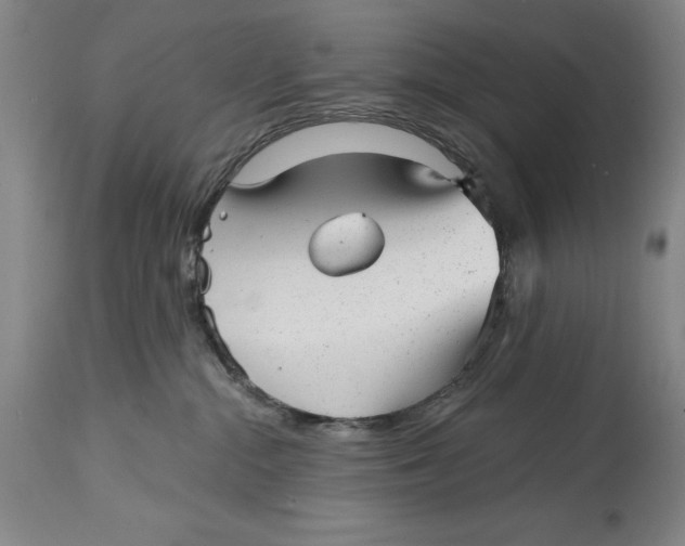 X0000114690284200911121525