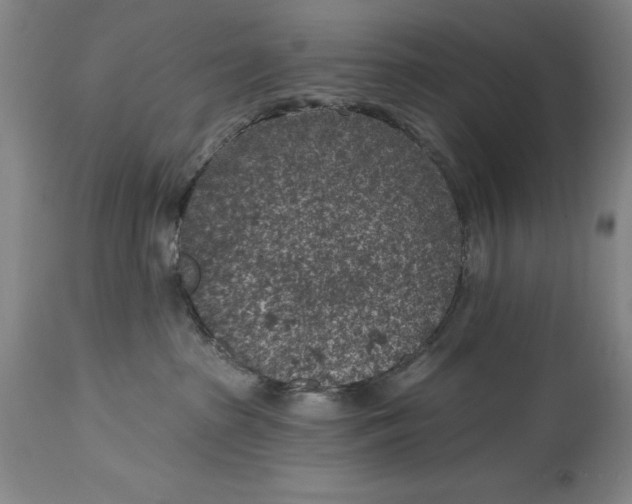 X0000114690285200911121525