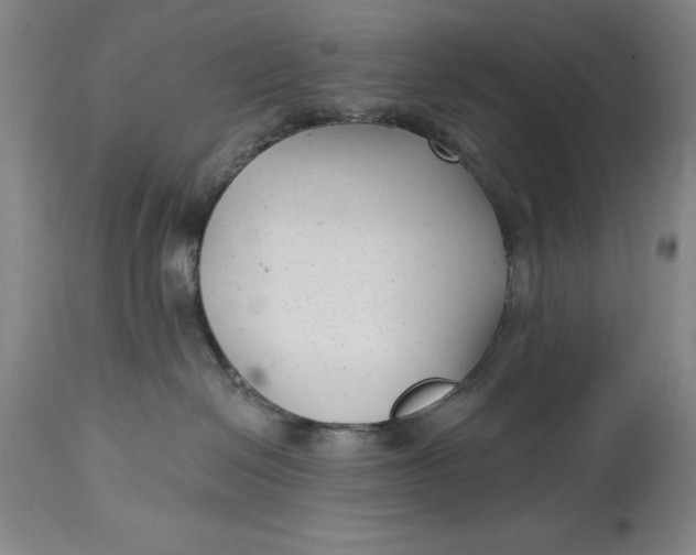 X0000114690286200911121525