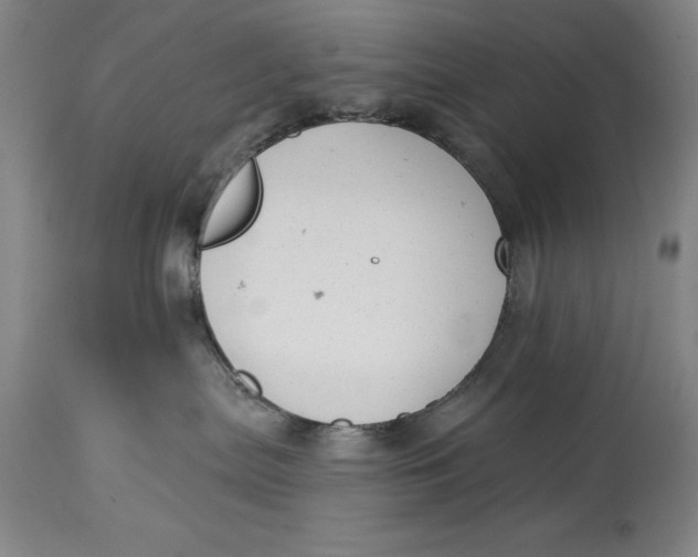 X0000114690287200911121525