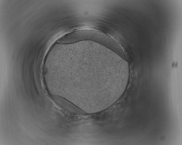 X0000114690289200911121524