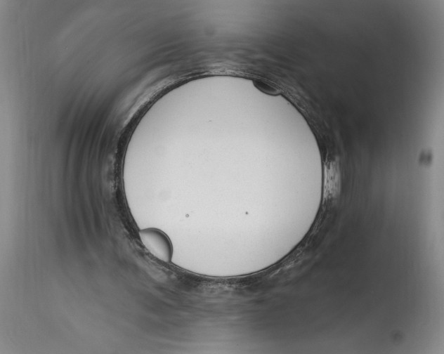 X0000114690291200911121524