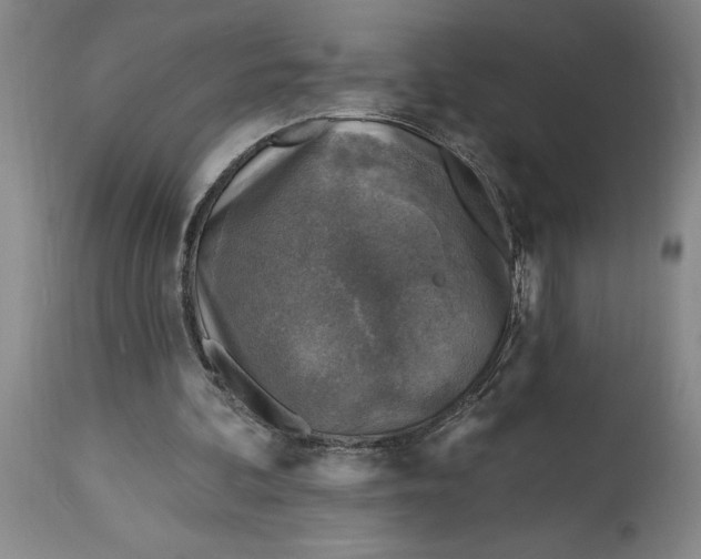 X0000114690292200911121524