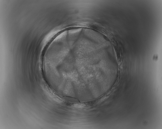 X0000114690294200911121524