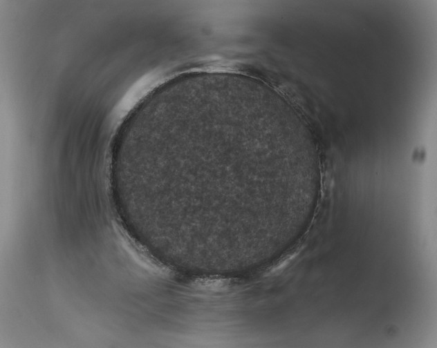 X0000114690295200911121524