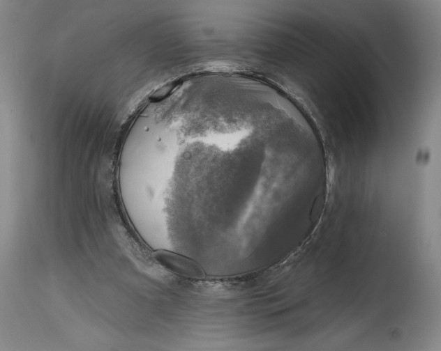 X0000114690297200911121524