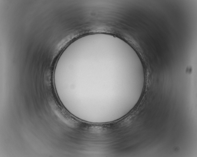 X0000114690298200911121524