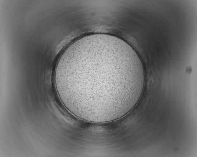 X0000114690299200911121524