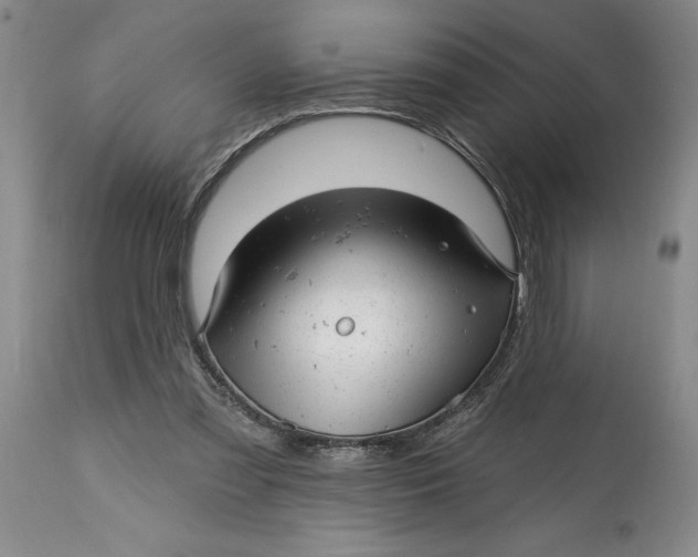 X0000114690301200911121524