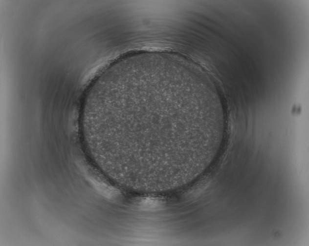 X0000114690303200911121524