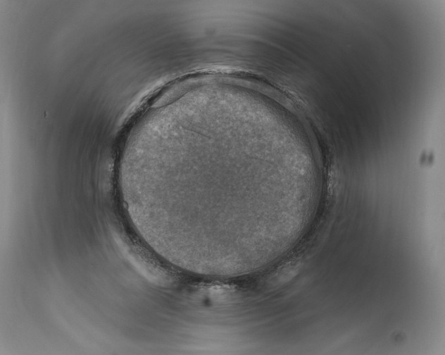 X0000114690304200911121524