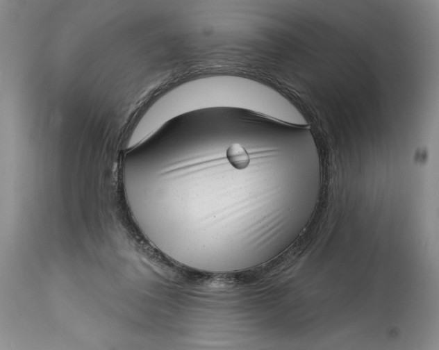 X0000114690308200911121524