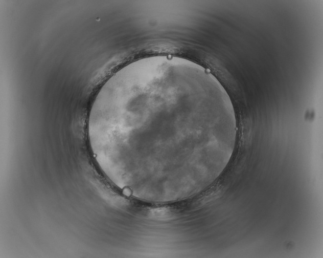 X0000114690309200911121524