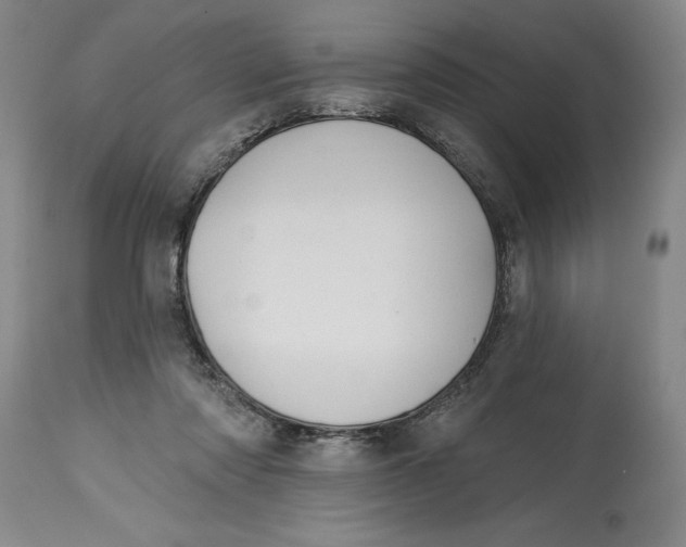 X0000114690310200911121524