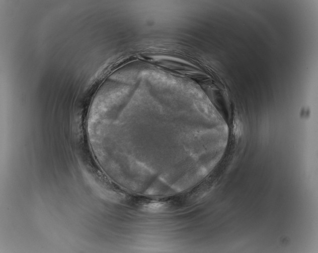 X0000114690312200911121524