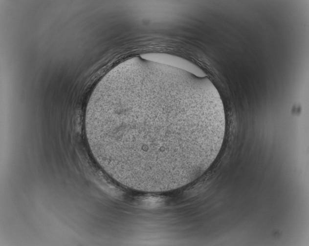 X0000114690313200911121524