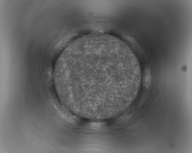 X0000114690314200911121524