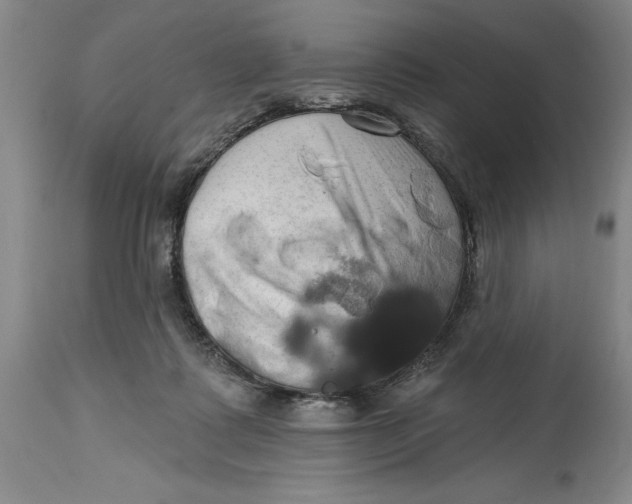 X0000114690315200911121524