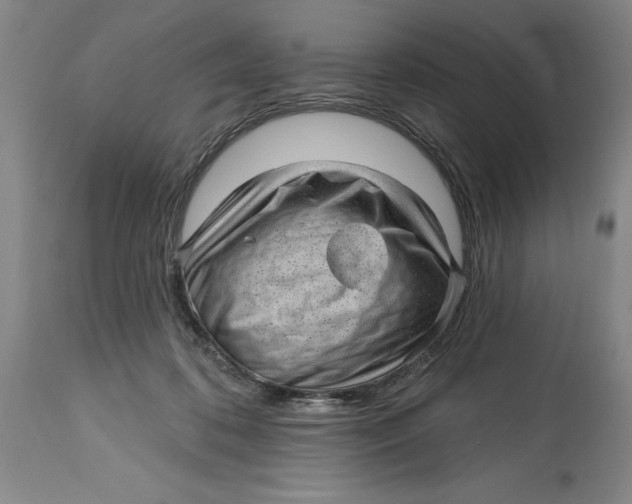 X0000114690316200911121524