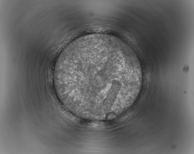 X0000114690317200911121524