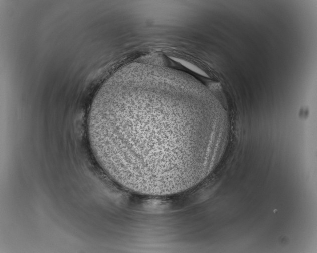 X0000114690319200911121524