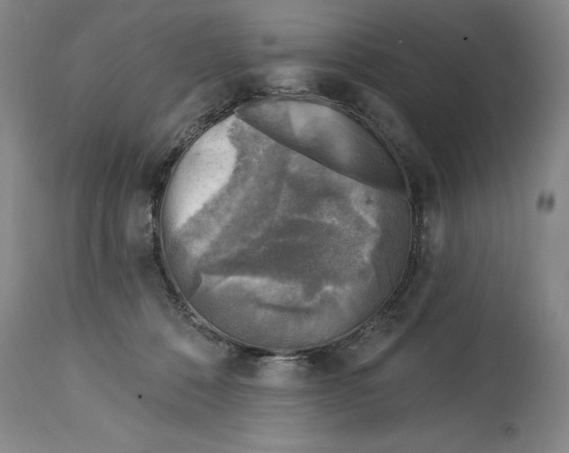 X0000114690320200911121524