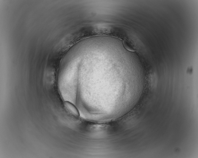 X0000114690323200911121524