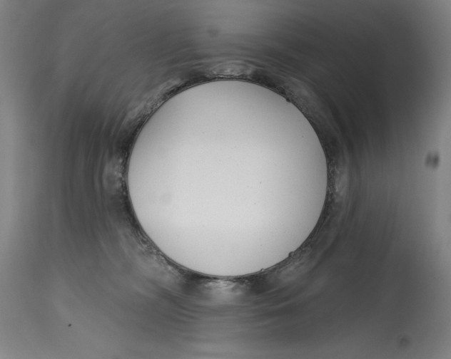 X0000114690326200911121524