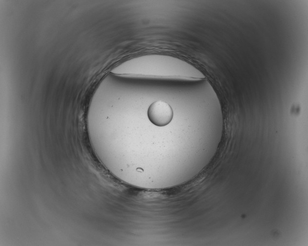 X0000114690327200911121524