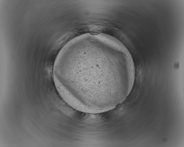 X0000114690329200911121524