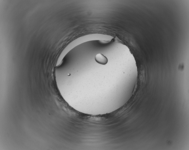 X0000114690332200911121524