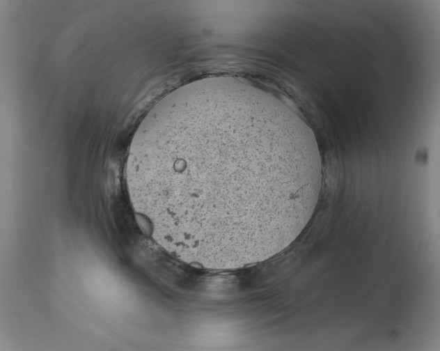 X0000114690333200911121524