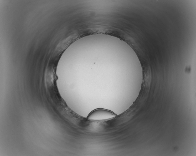 X0000114690334200911121524