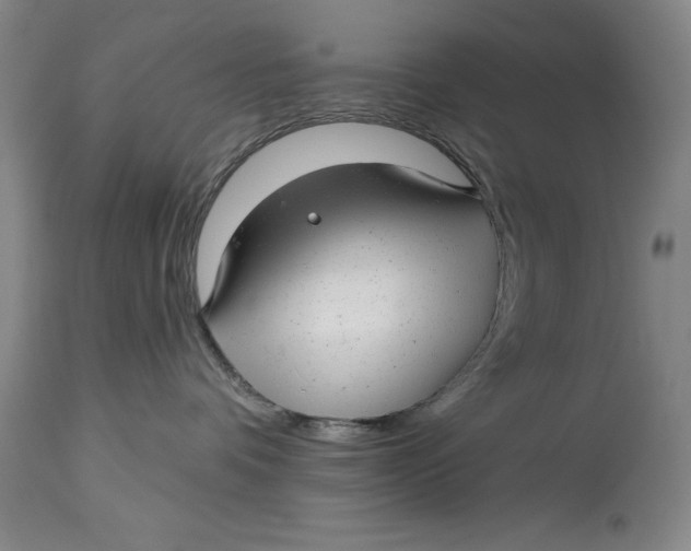 X0000114690336200911121523