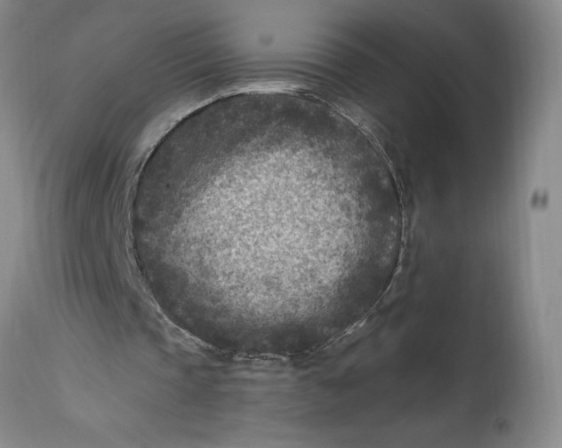 X0000114690337200911121523