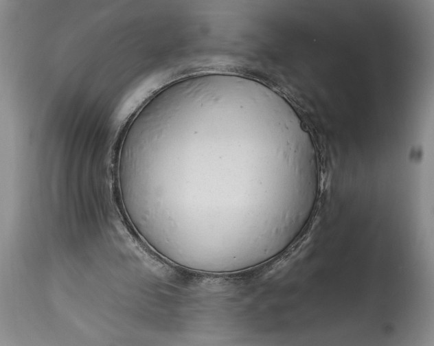 X0000114690341200911121523