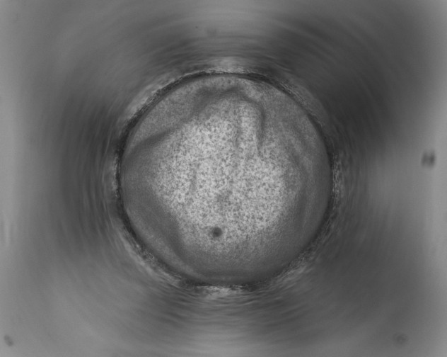 X0000114690347200911121523